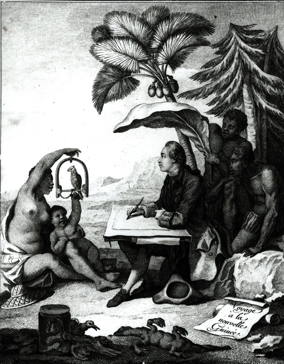 Pierre Sonnerat zeichnet einen Vogel, aus 