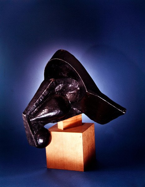 Kopf eines Pferdes von Pierre Maurice Raymond Duchamp Villon
