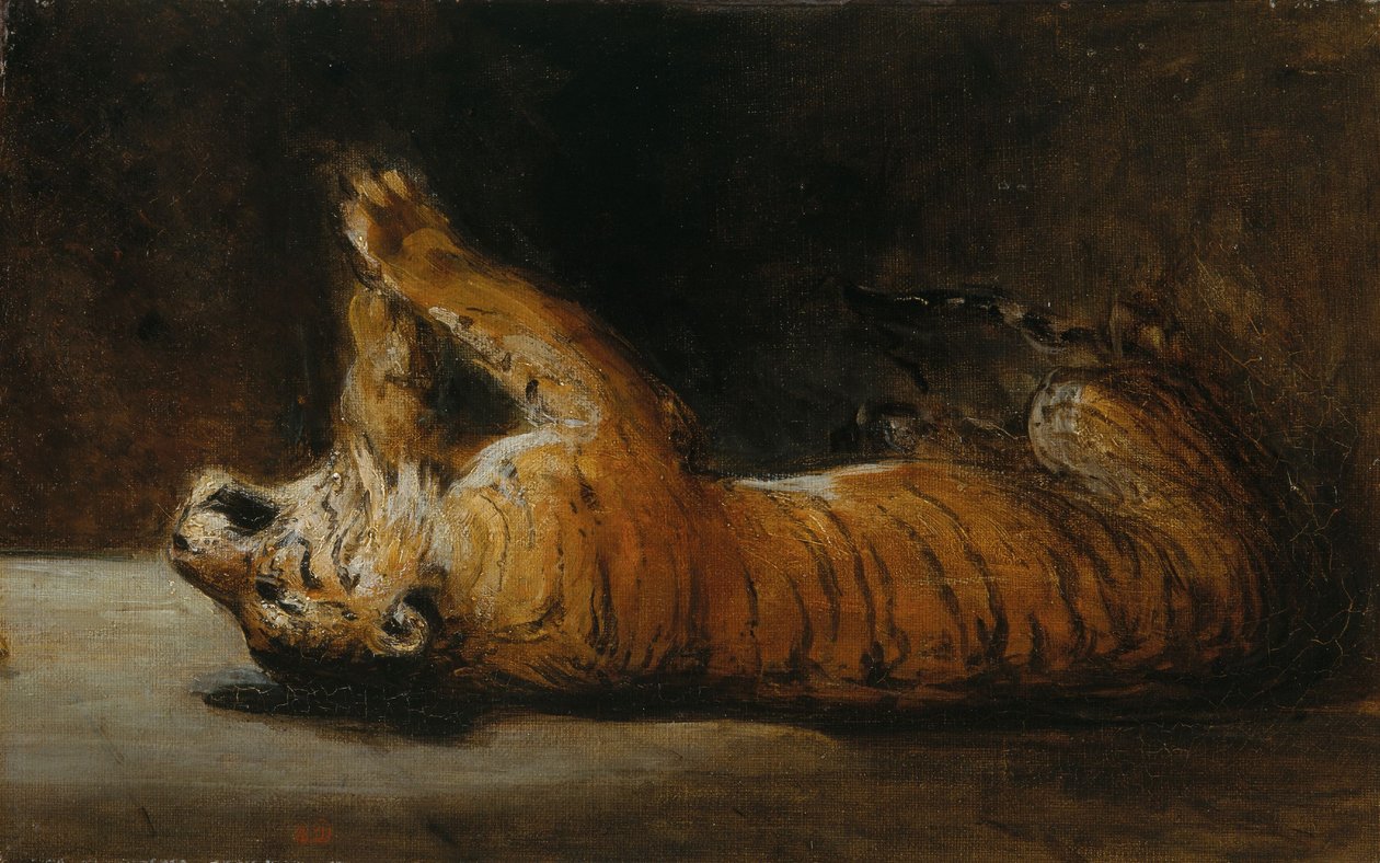 Spielender Tiger von Pierre Andrieu