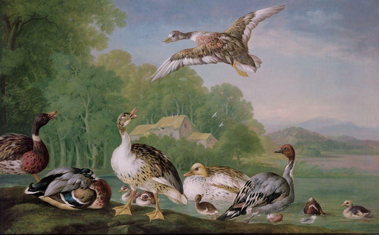 Unbekanntes Bild von Pieter Casteels
