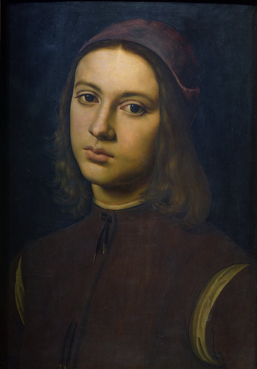 Porträt eines jungen Mannes, 1495 von Pietro Perugino