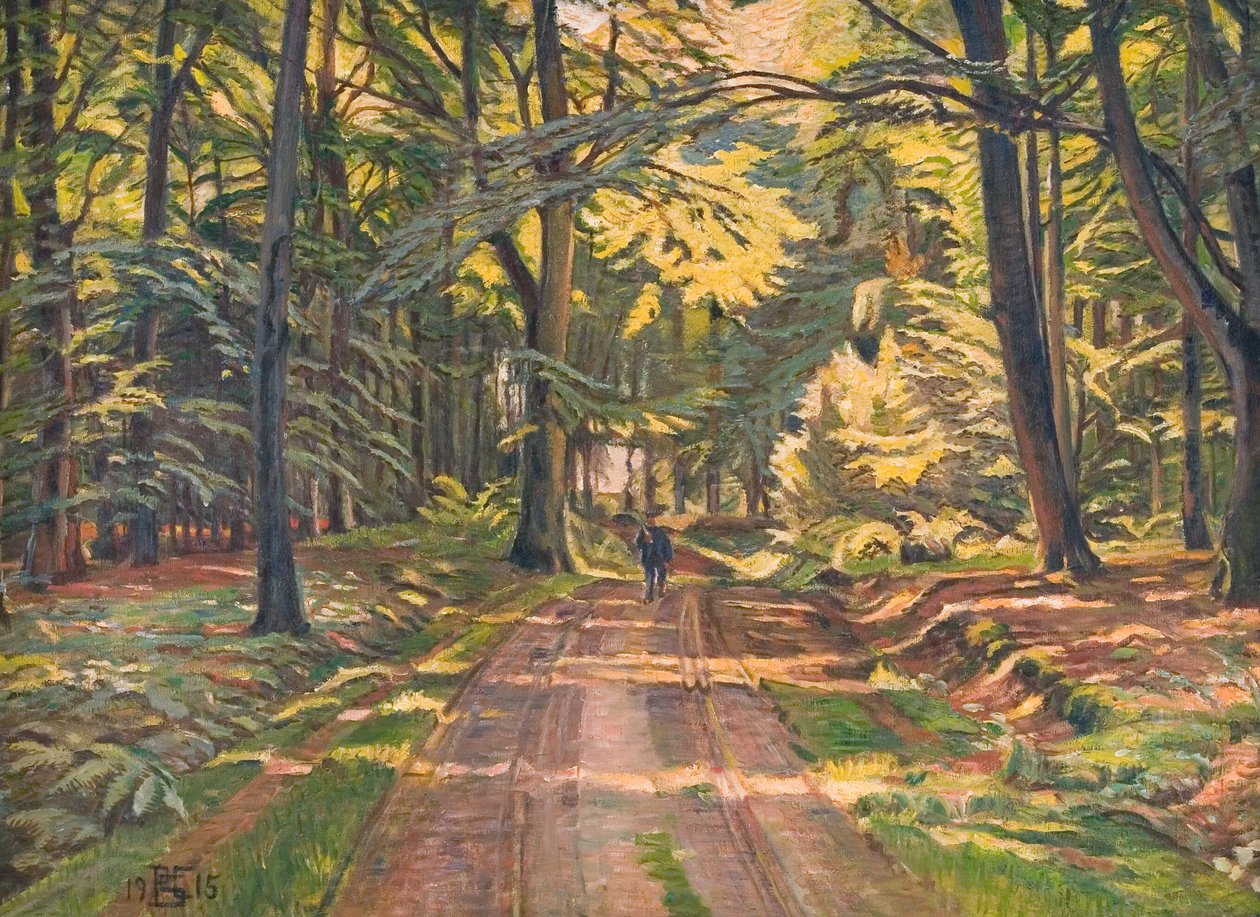 Waldweg bei Dyrnæs von Poul S. Christiansen