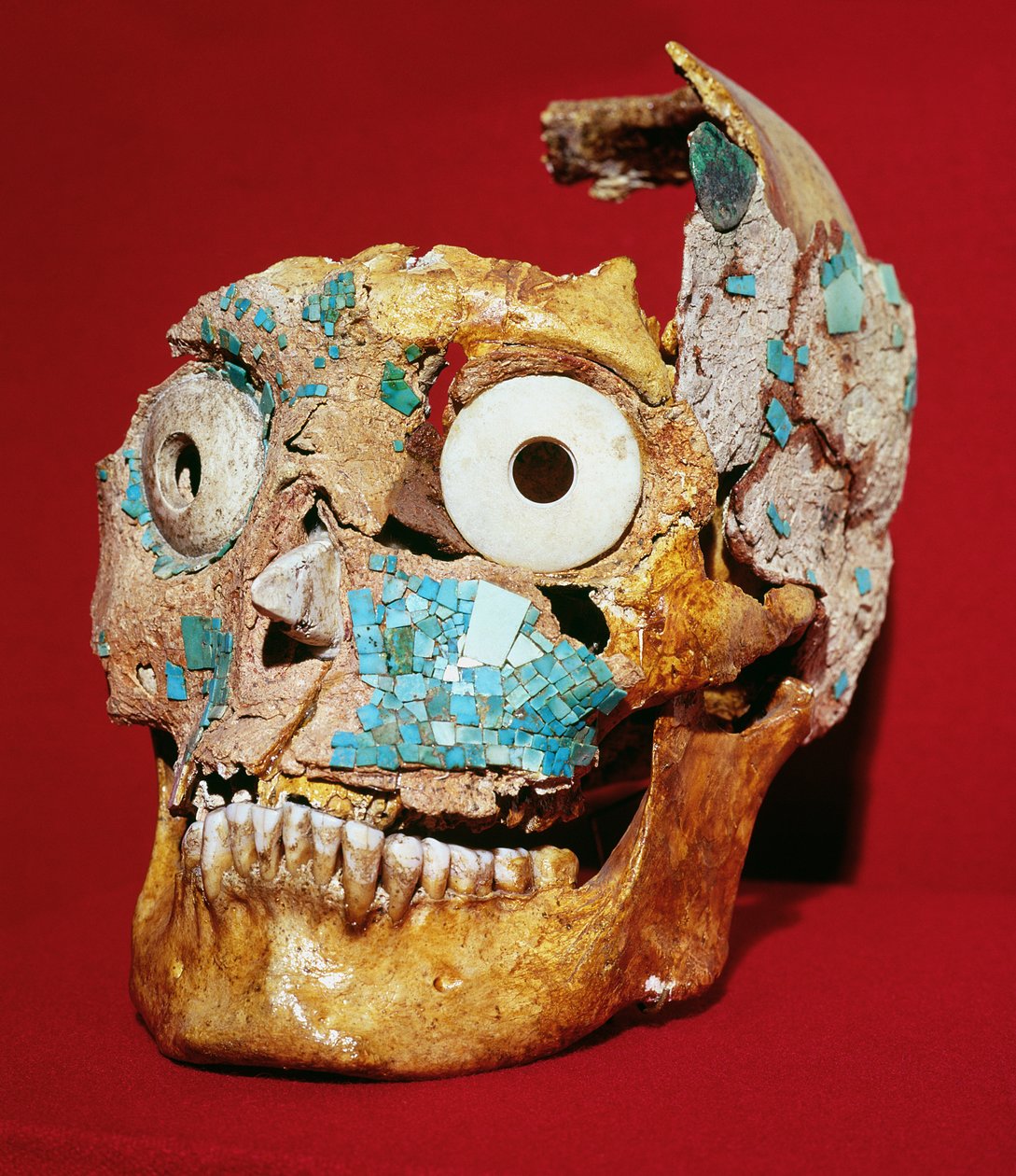 Schädel mit Mosaik aus Türkis und Elfenbein verziert, Mixtec, aus Grab 7, Monte Alban, 1300-1450 von Pre Columbian