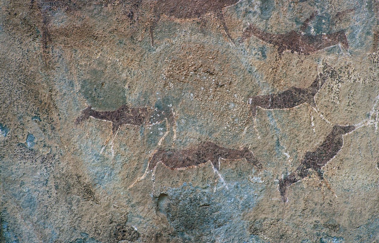 Tierfiguren (Höhlenmalerei) von Prehistoric Prehistoric