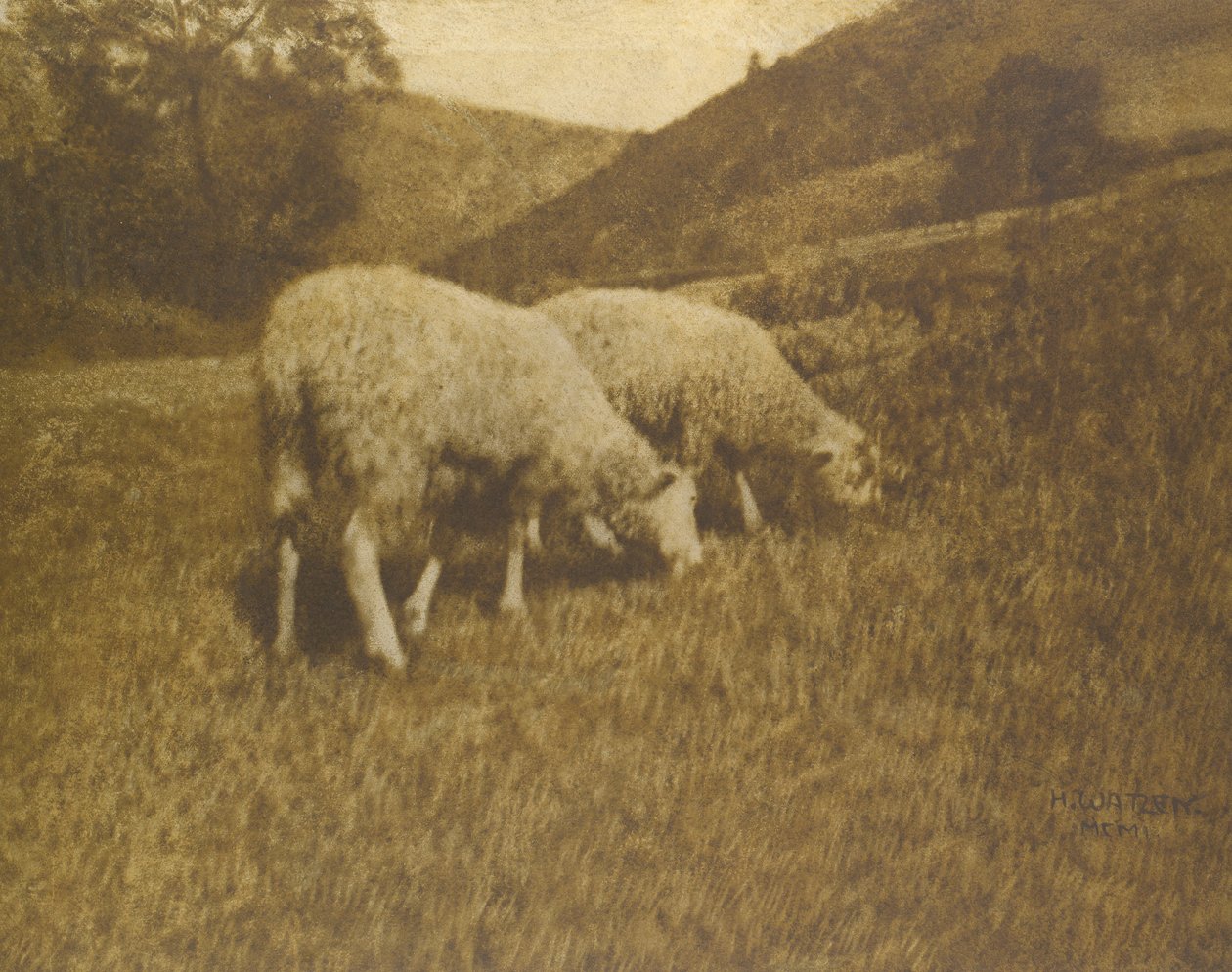 Schafe, 1901 von Professor Hans Watzek