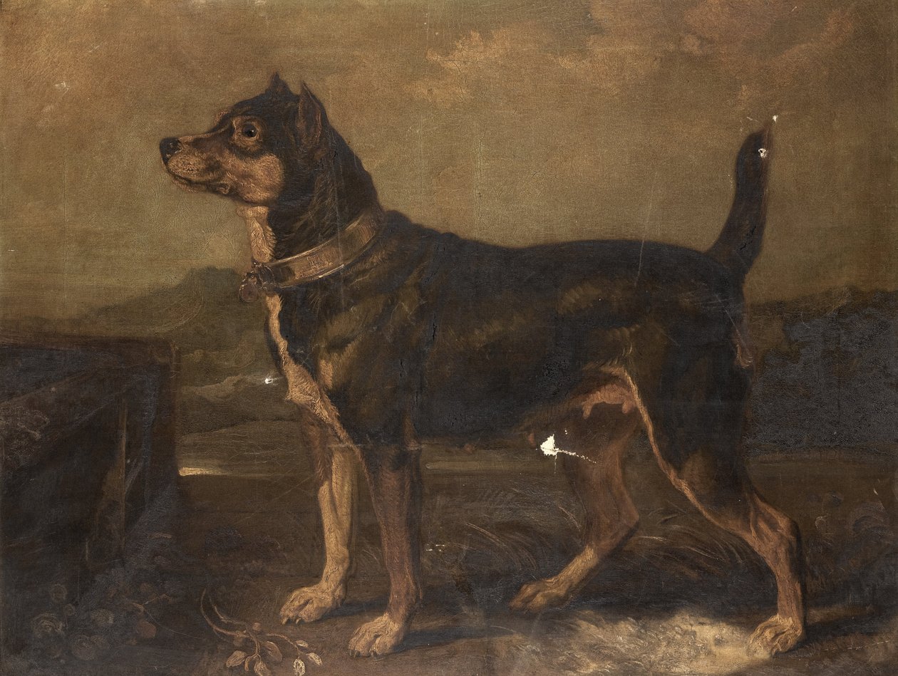 Ein Terrier in einer Landschaft von R.A. James Ward