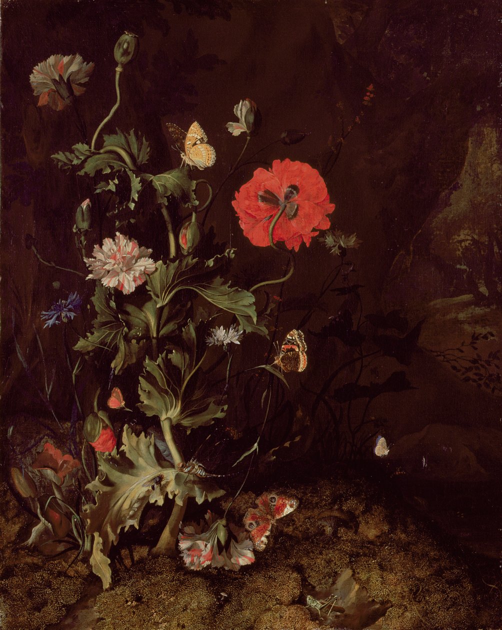 Stillleben auf dem Waldboden mit Blumen und Schmetterlingen von Rachel Ruysch