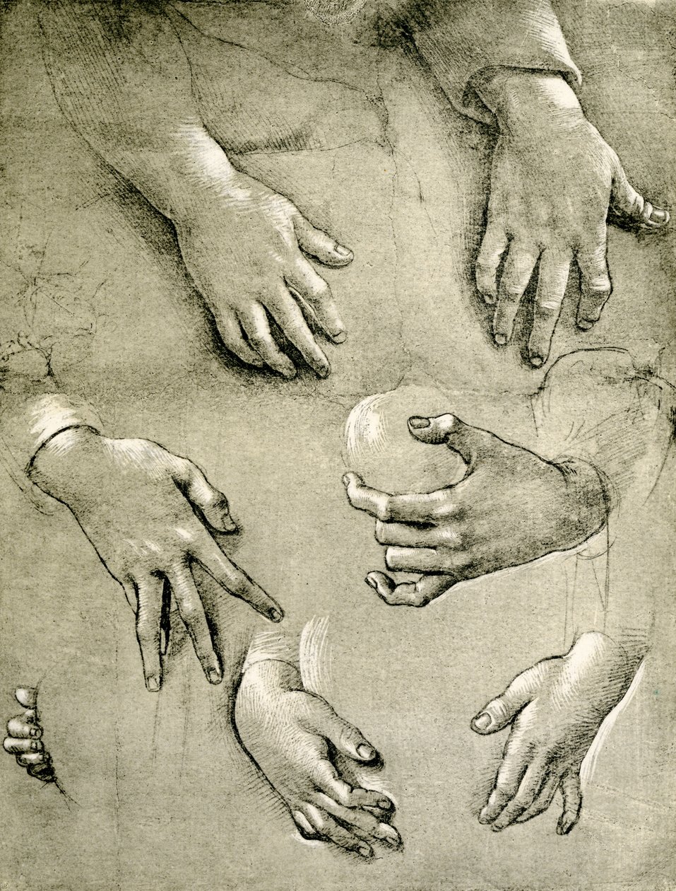 Handstudien zu einer Madonna von Raffaellino del Garbo