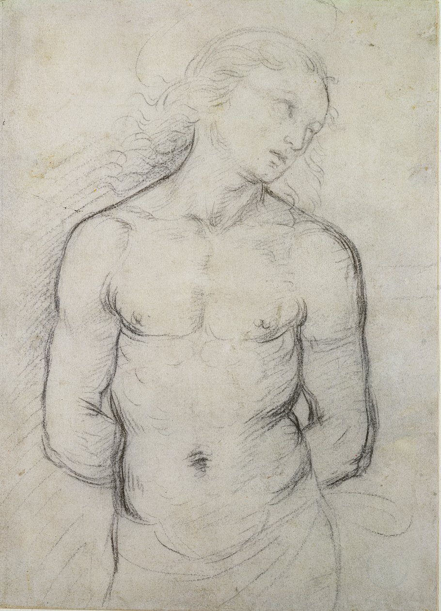 Heiliger Sebastian, 1499-1500 von Raffaello Sanzio Raphael