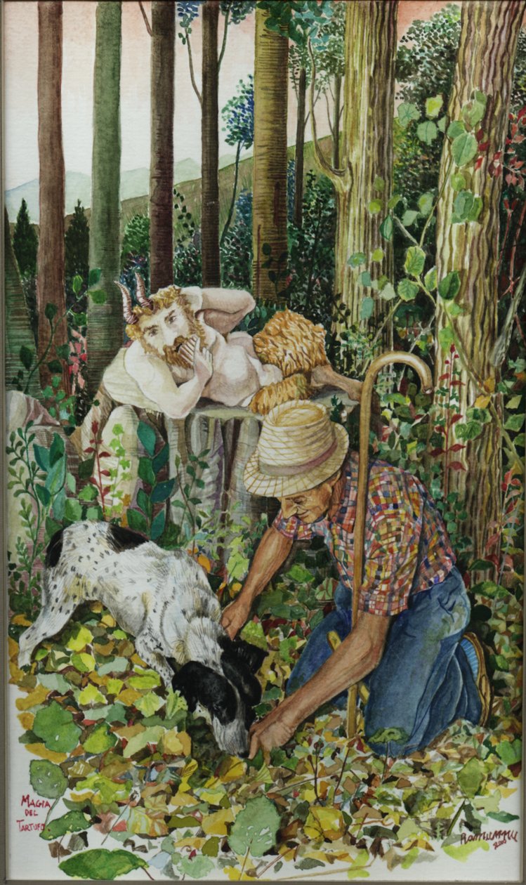 La magia del tartufo von Raimondo Gambino