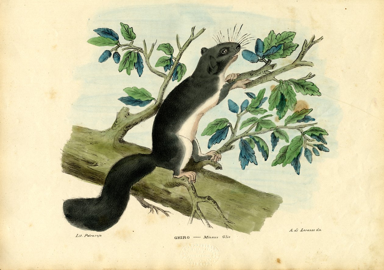 Siebenschläfer, 1863-79 von Raimundo Petraroja