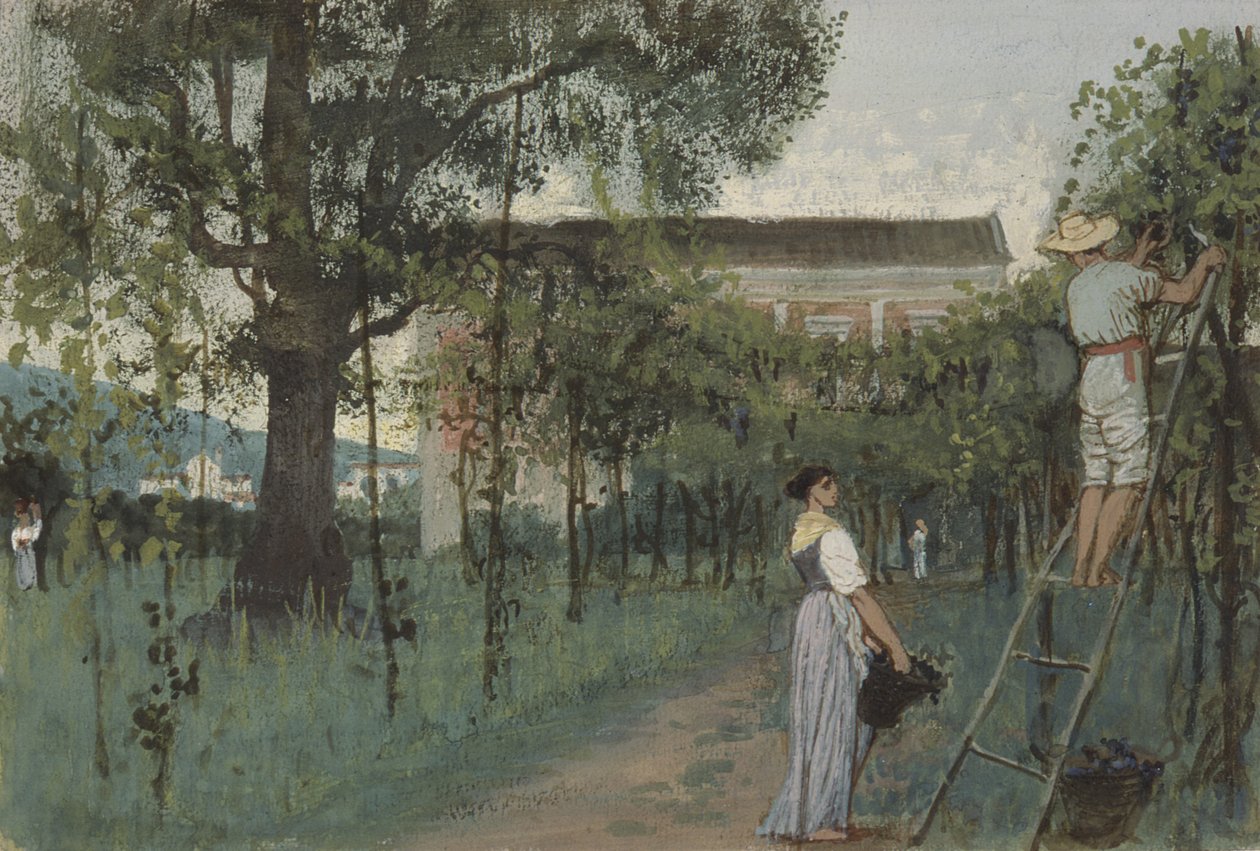 Traubenlese von Randolph Caldecott