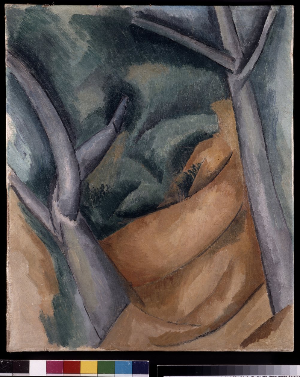 Arbres à l