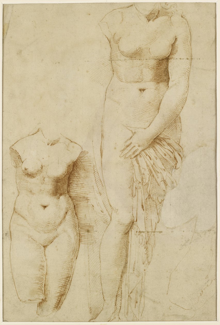Zwei Figuren der Aphrodite. Männliche Figur in Aktion von Raffaello Sanzio Raphael