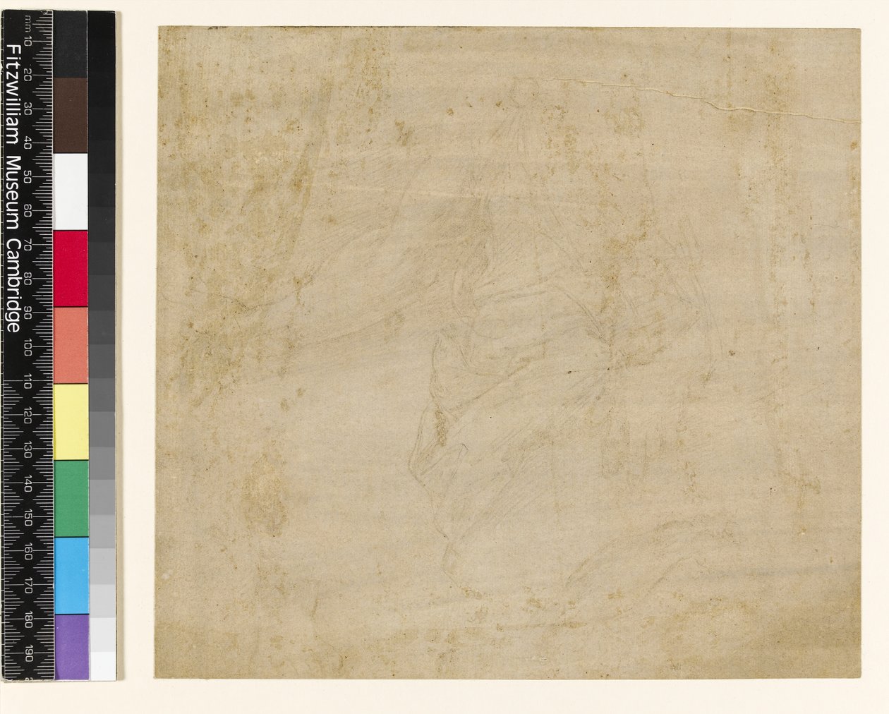 Blatt mit Studien: Draperie mit nacktem Arm und separate Studie eines Fußes von Raffaello Sanzio Raphael