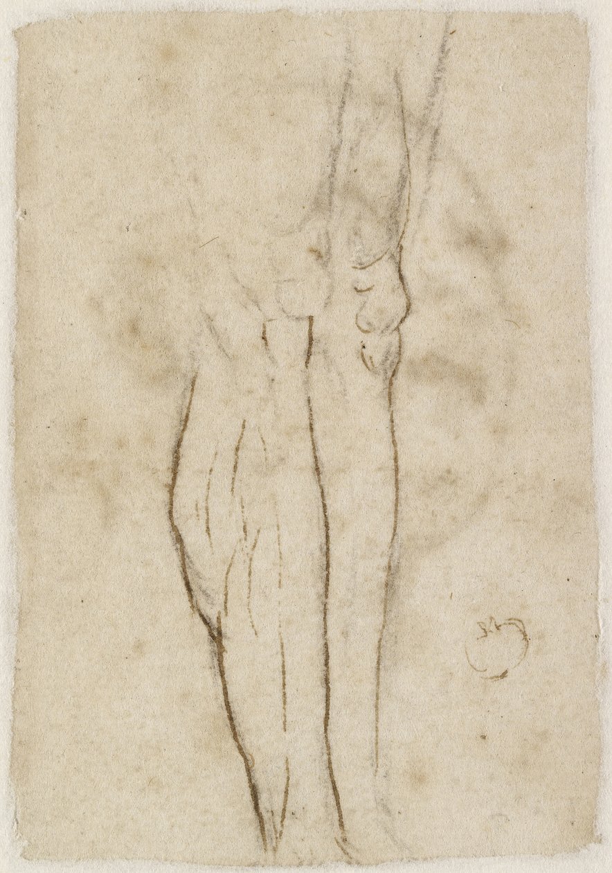 Verso: Skizze eines Beinpaares, WA1846.156 von Raffaello Sanzio Raphael