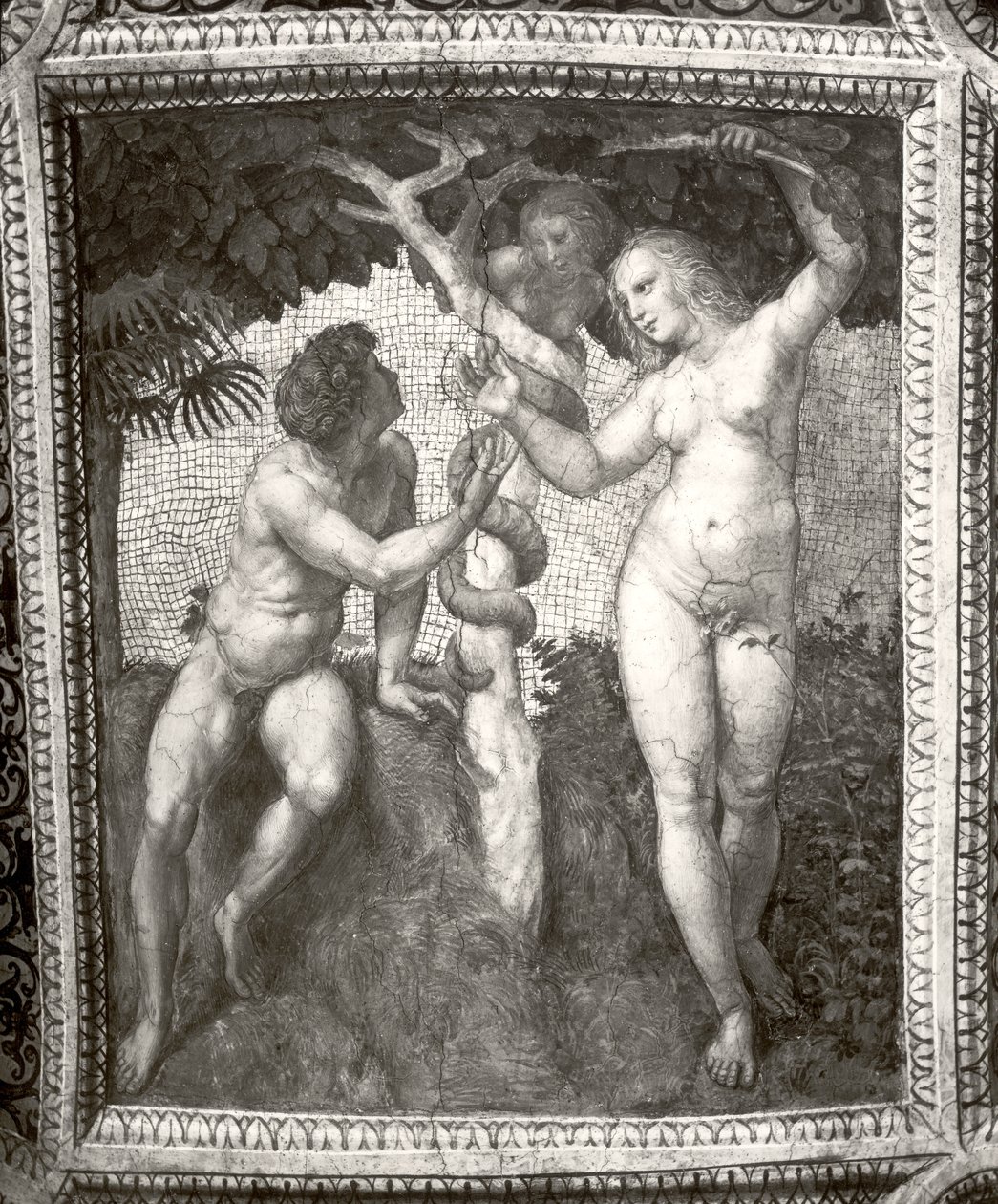 Adam und Eva, aus der Stanza della Segnatura, ca. 1508-11 von Raffaello Sanzio Raphael