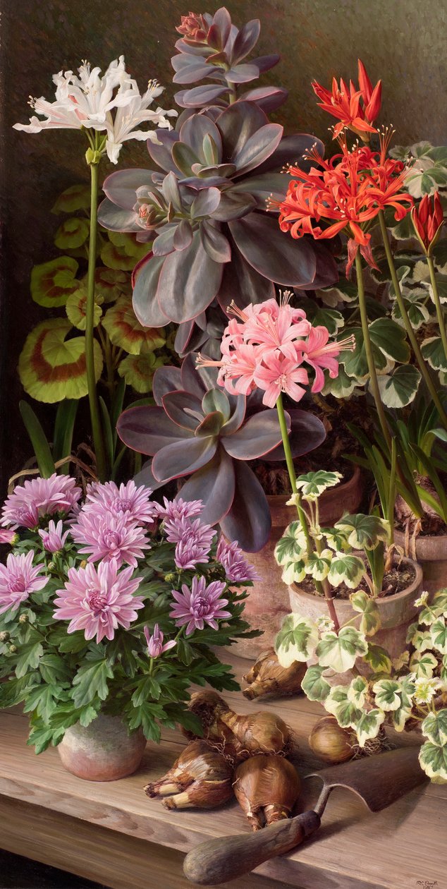 Oktoberblumen von Raymond Booth