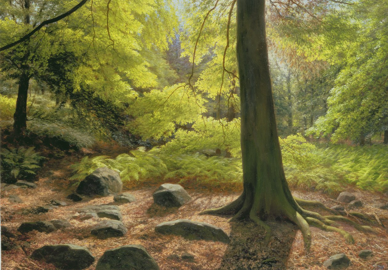 Frühlingssonnenschein in Adel Woods von Raymond Booth