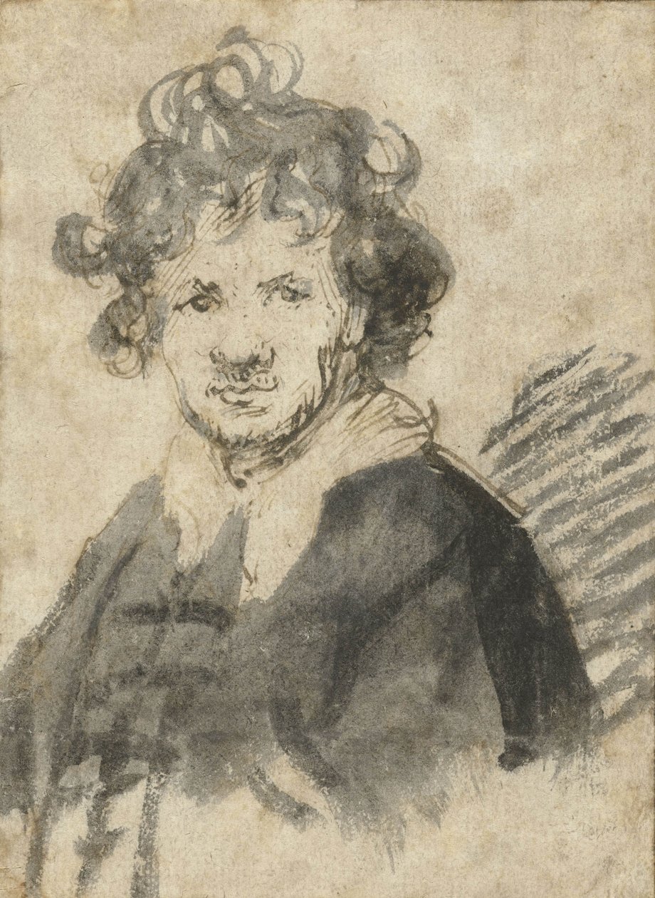 Selbstporträt mit zerzaustem Haar von Rembrandt van Rijn