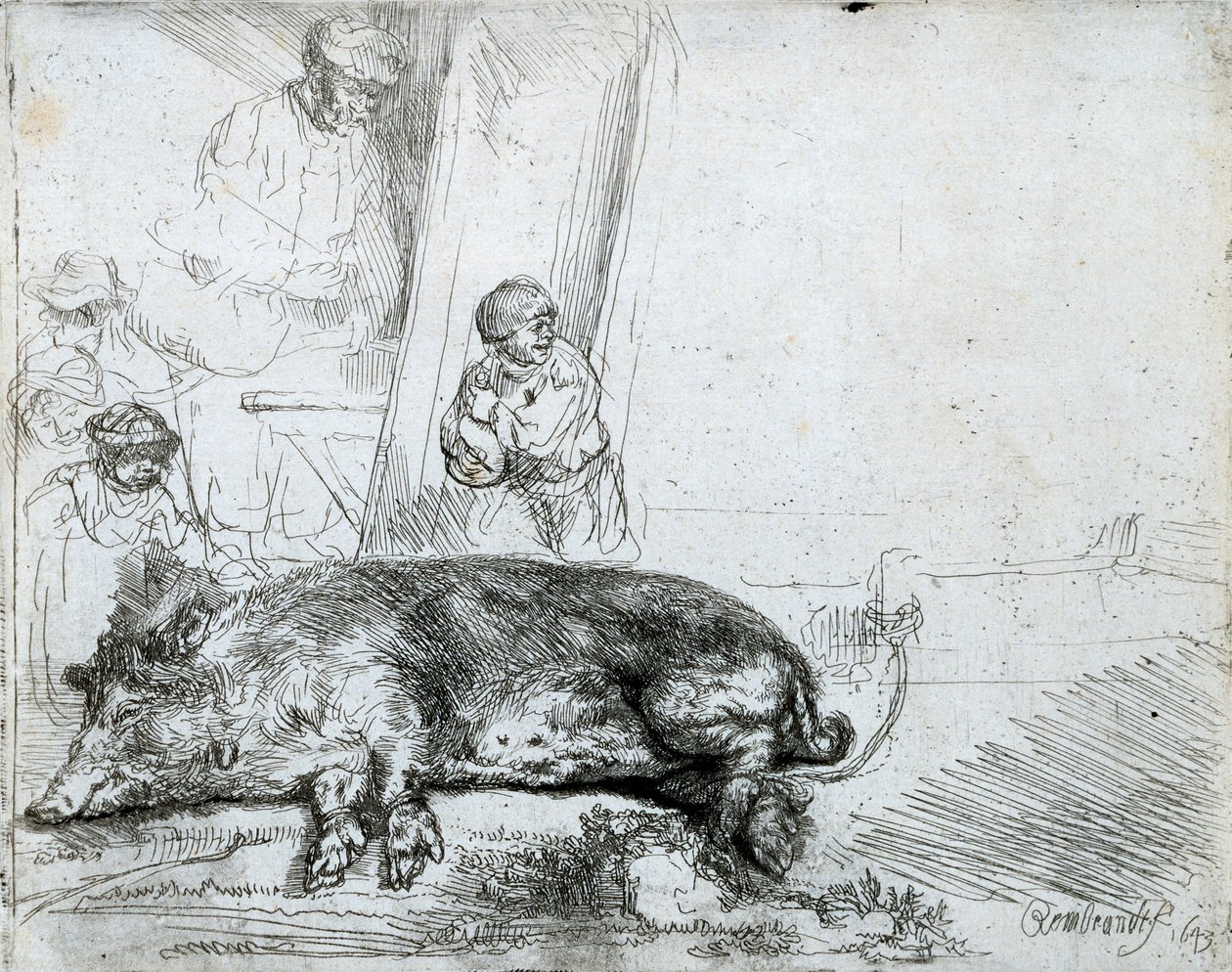 Das Schwein, 1643 von Rembrandt van Rijn