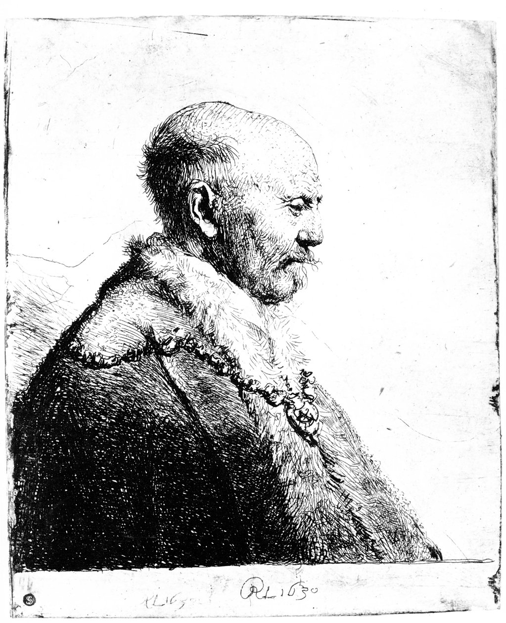 Porträt eines glatzköpfigen Mannes, 1630 von Rembrandt van Rijn