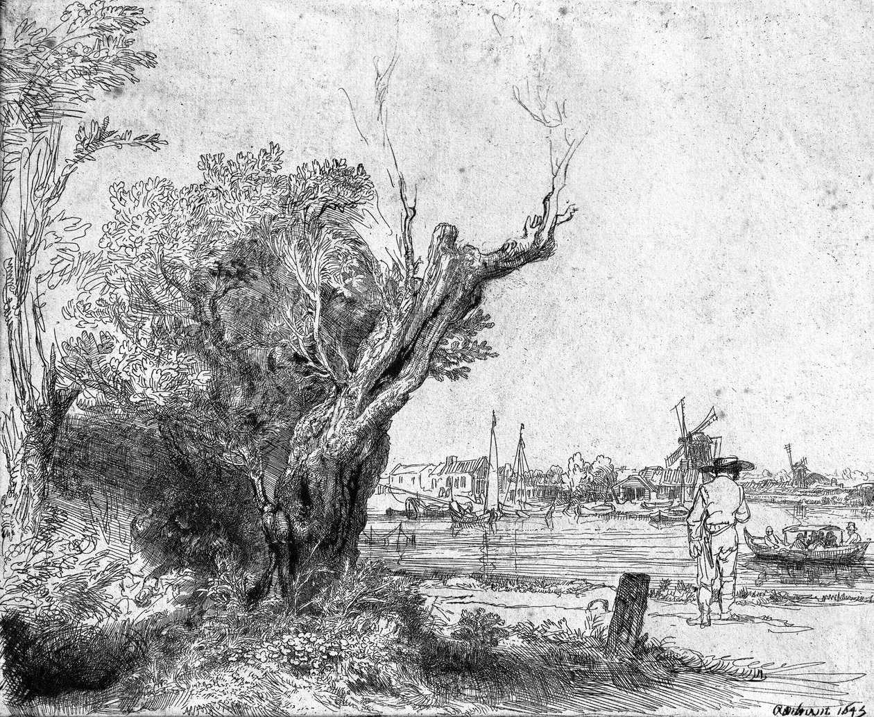 Blick auf Omval, in der Nähe von Amsterdam, 1645 von Rembrandt van Rijn