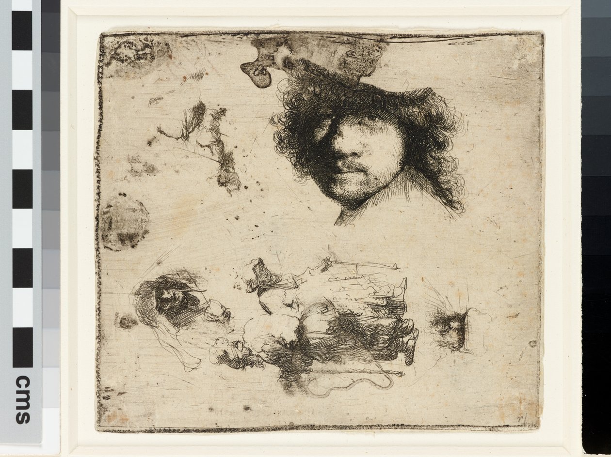 Blatt mit Studien von Rembrandt van Rijn