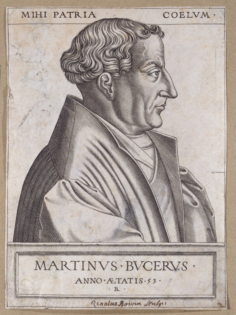 Martin Bucer (1491-1551) im Alter von 53 Jahren von Rene Boyvin