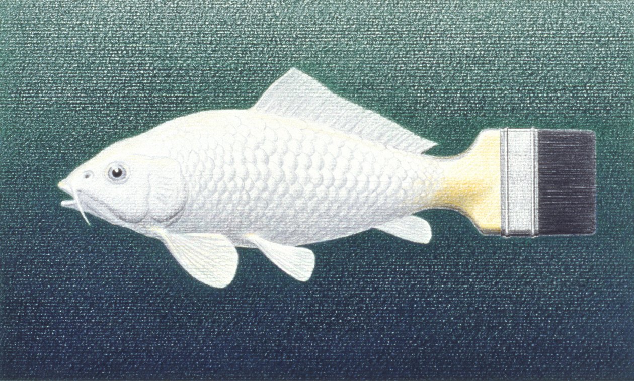 Pinsel Fisch, 2003 von Rene Boin