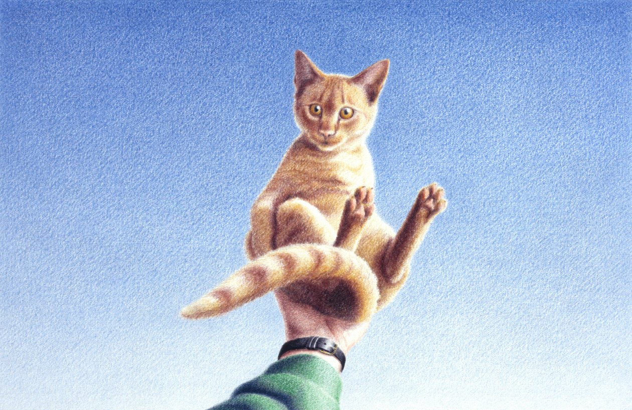 Handvoll von Rene Boin