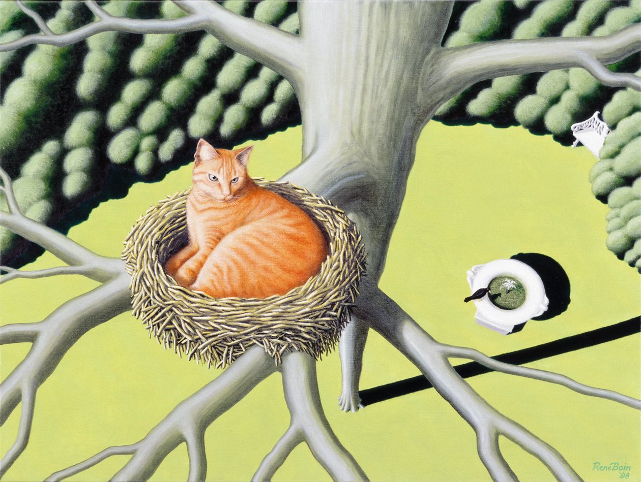 Nest von Rene Boin