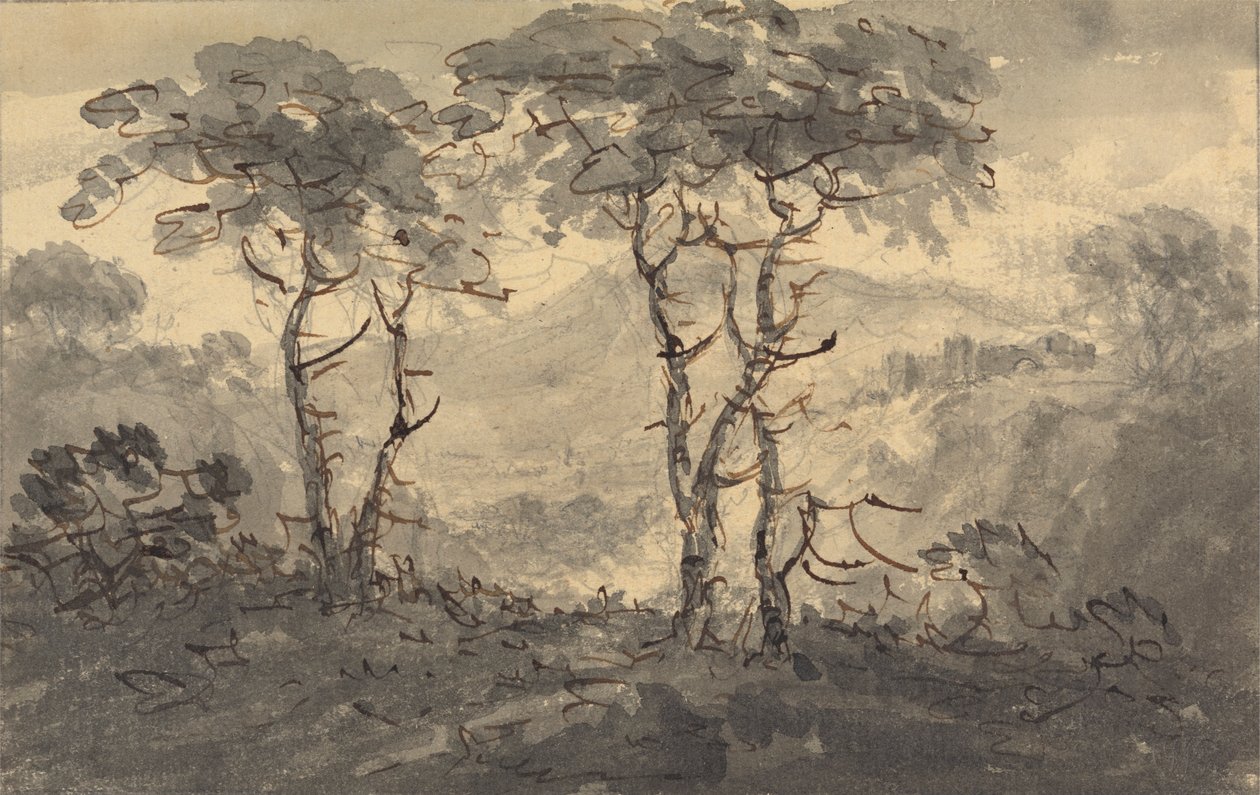 Tannen in einer Berglandschaft von Rev. William Gilpin
