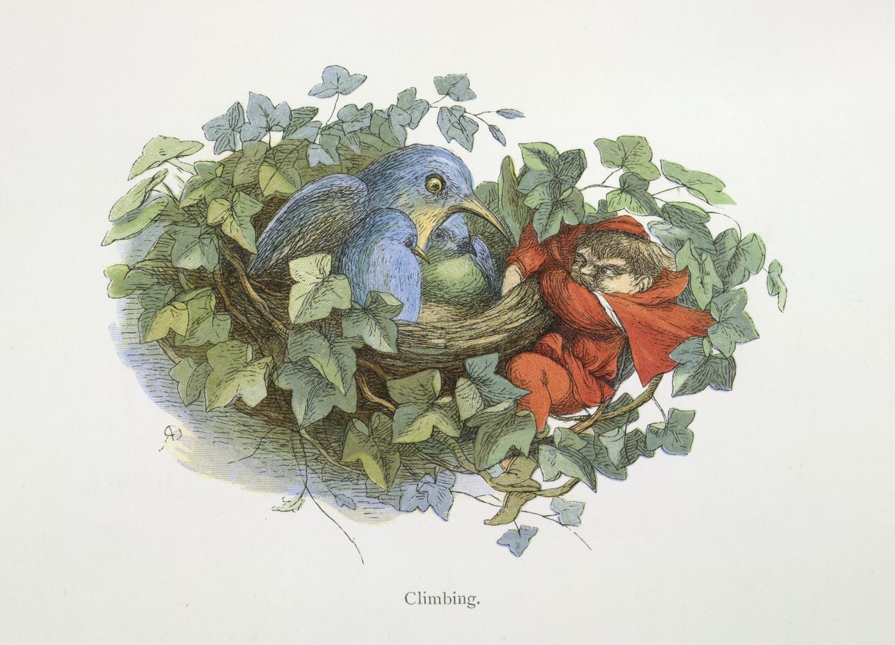 Klettern von Richard Doyle