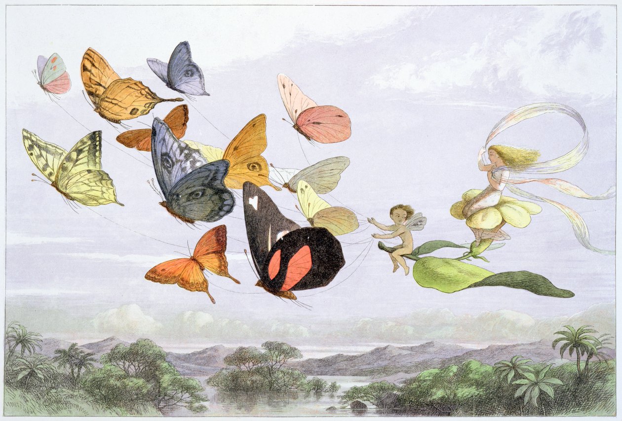 Der Wagen der Feenkönigin, ca. 1870 von Richard Doyle