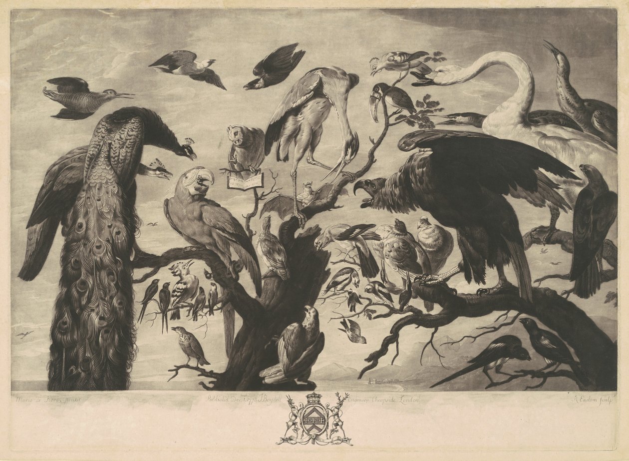Ein Konzert der Vögel von Richard Earlom, after Mario Nuzzi