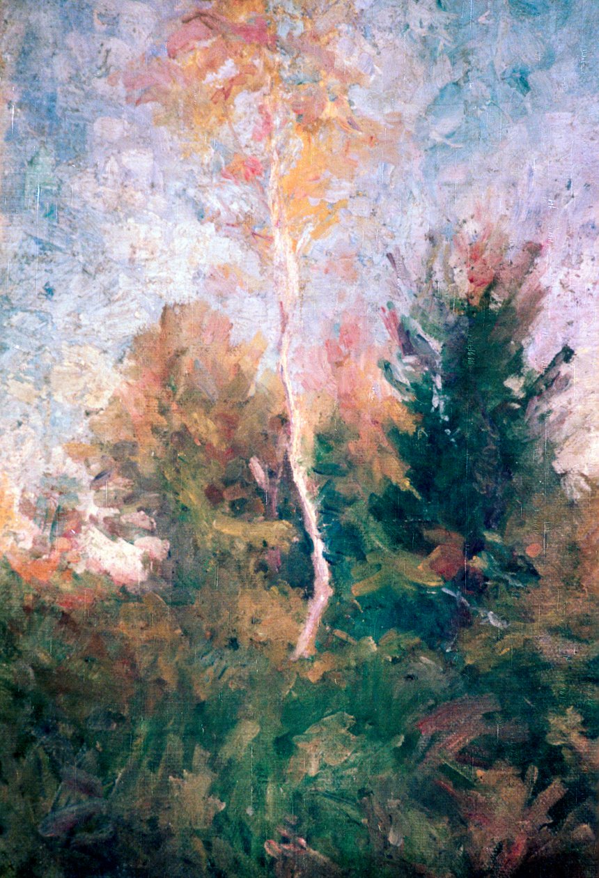 Die Birke von Rihard Jakopic