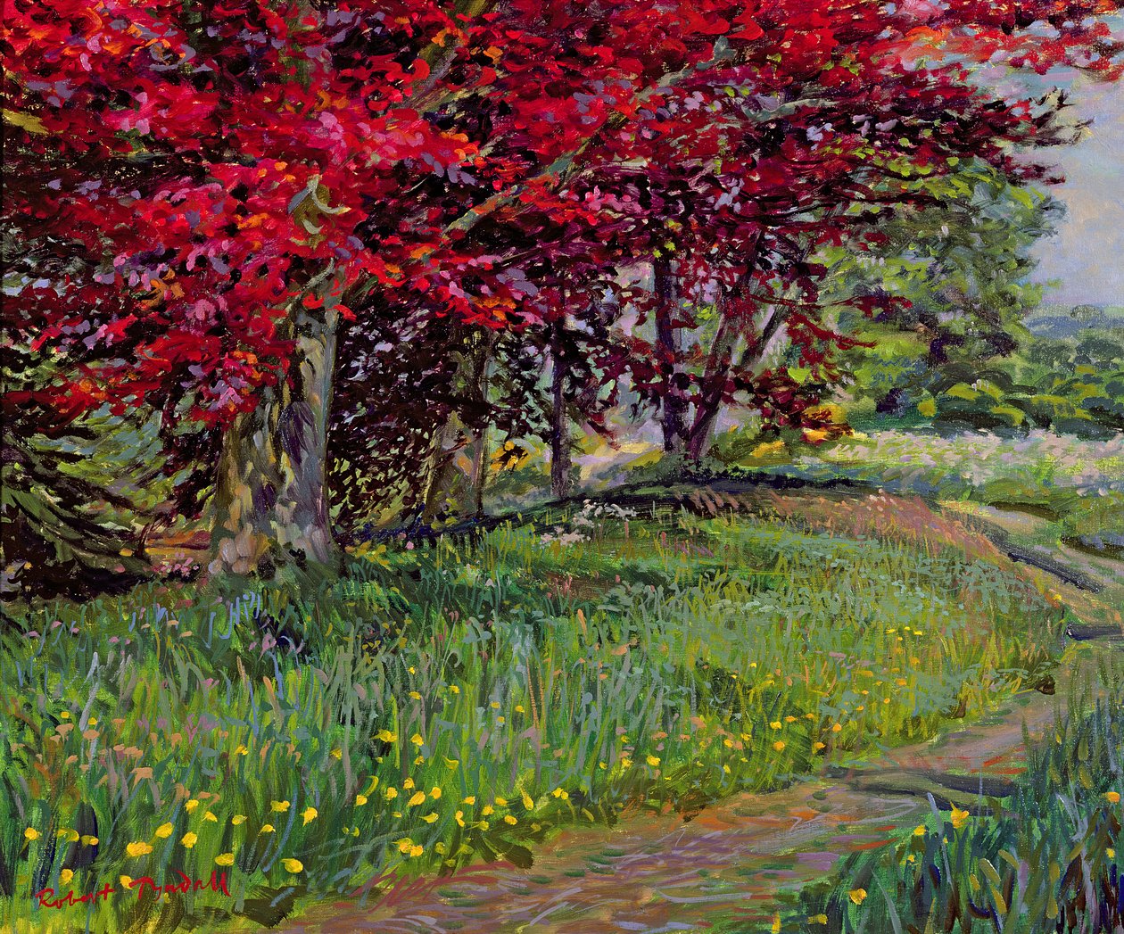Kupferbuchen, New Timber, Sussex von Robert Tyndall