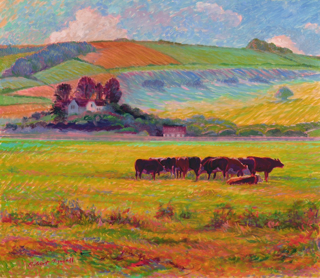 Abendliche Rinder, Cuckmere Valley, Sussex von Robert Tyndall