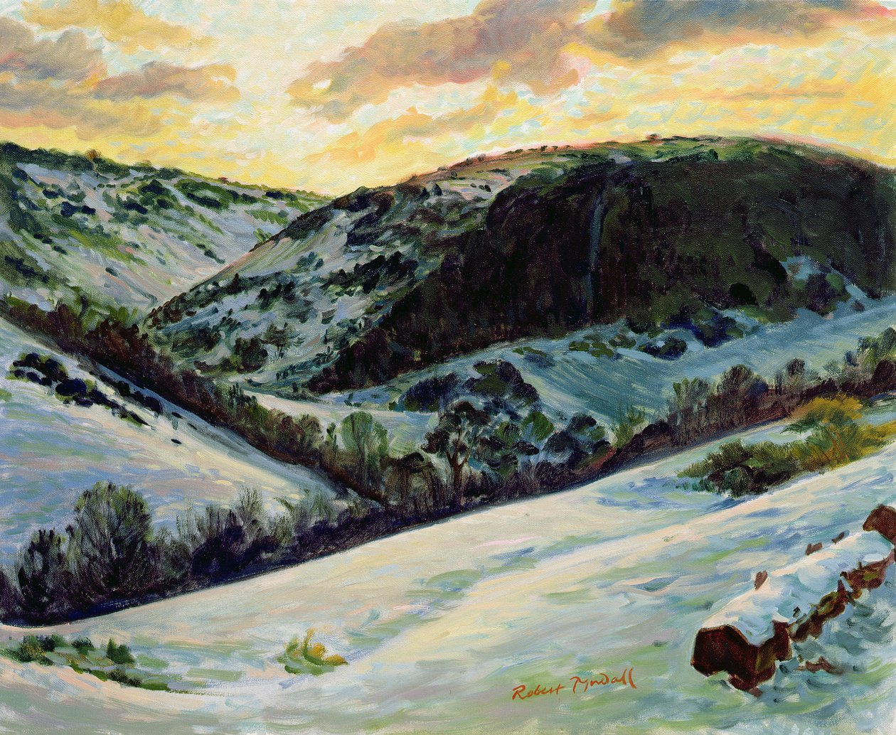 Der Teufelsdeich im Winter, 1996 von Robert Tyndall