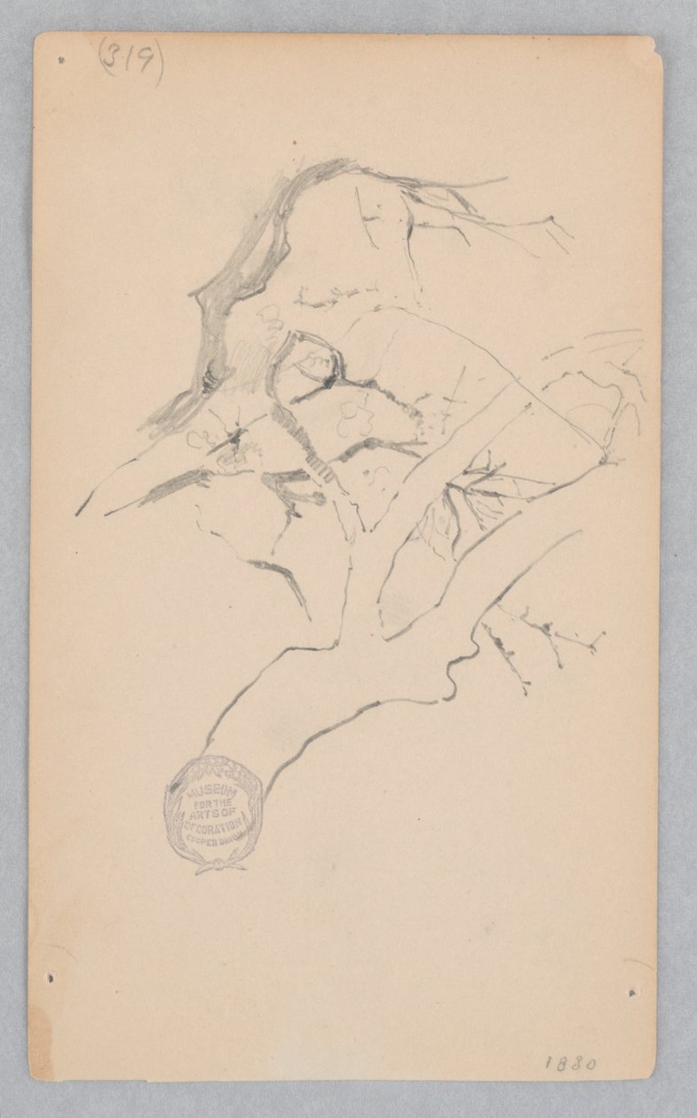 Baumzweig von Robert Frederick Blum