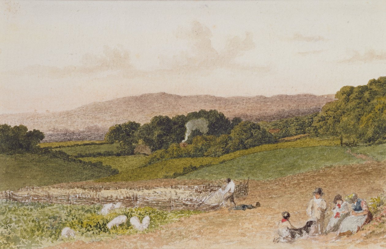 Das Rübenfeld von Robert Hills