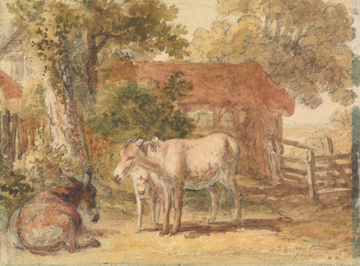 Drei Esel von Robert Hills