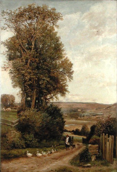 Das Tal von Rothbury von Robert Jobling