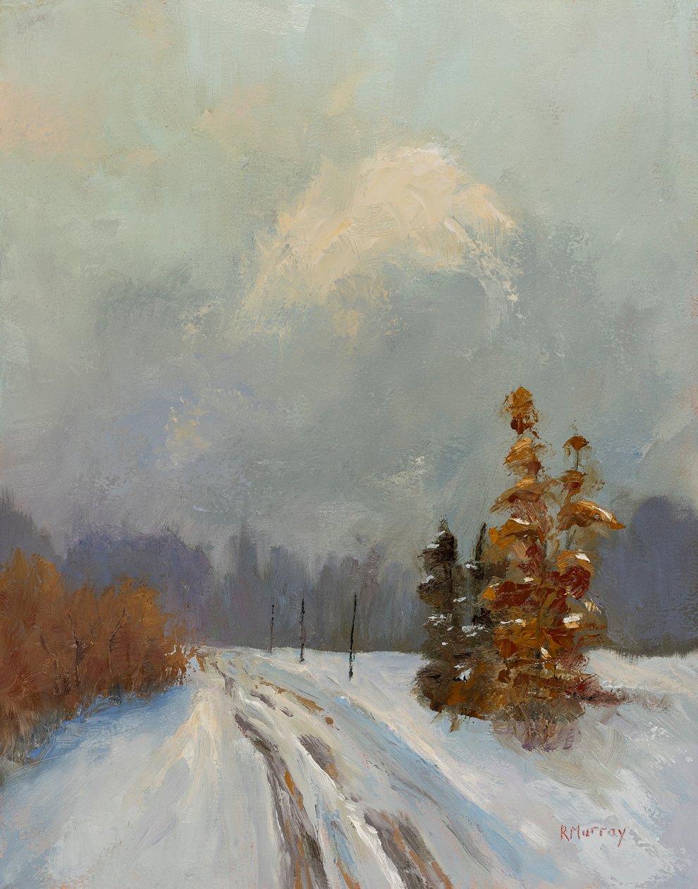 Schnee im September, 2023 von Roberta Murray