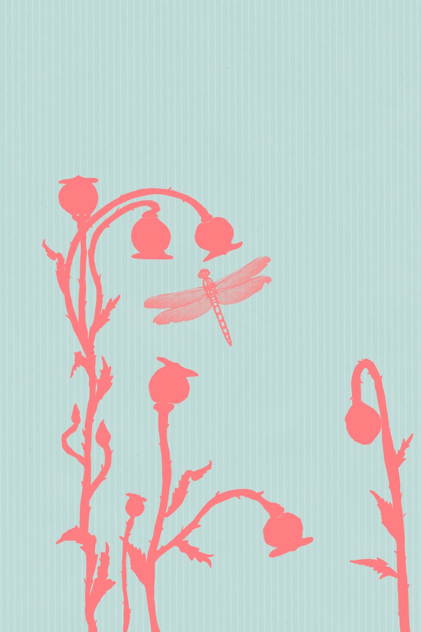 Die Mohnblume von Roberta Murray
