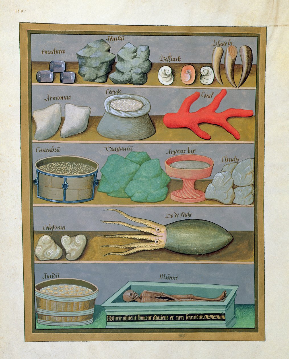 Illustration aus dem Buch der einfachen Heilmittel von Mattheaus Platearius 166v von Robinet Testard