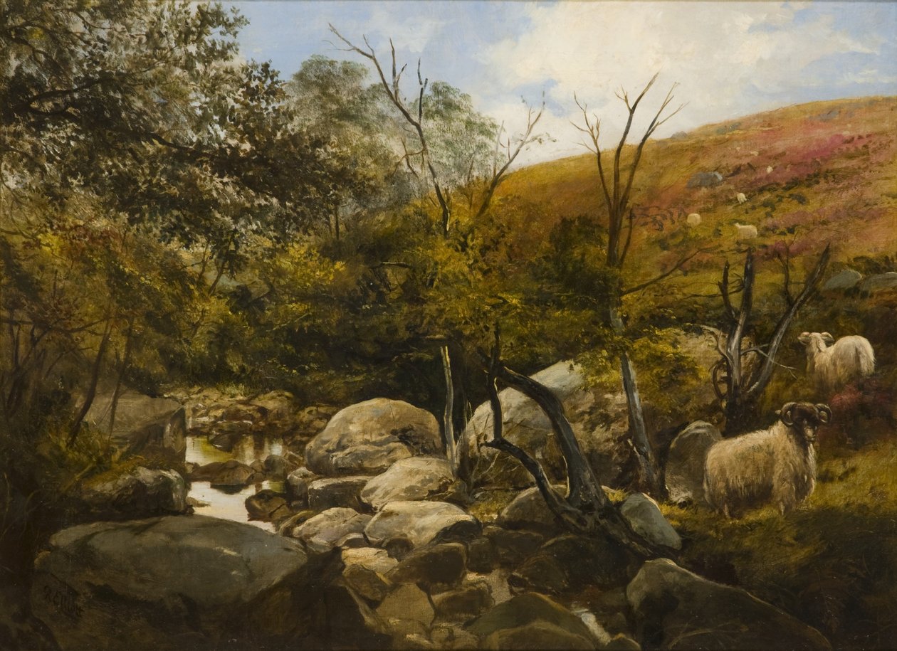 Am Black Burn, in der Nähe von Rothbury von Robinson Elliott