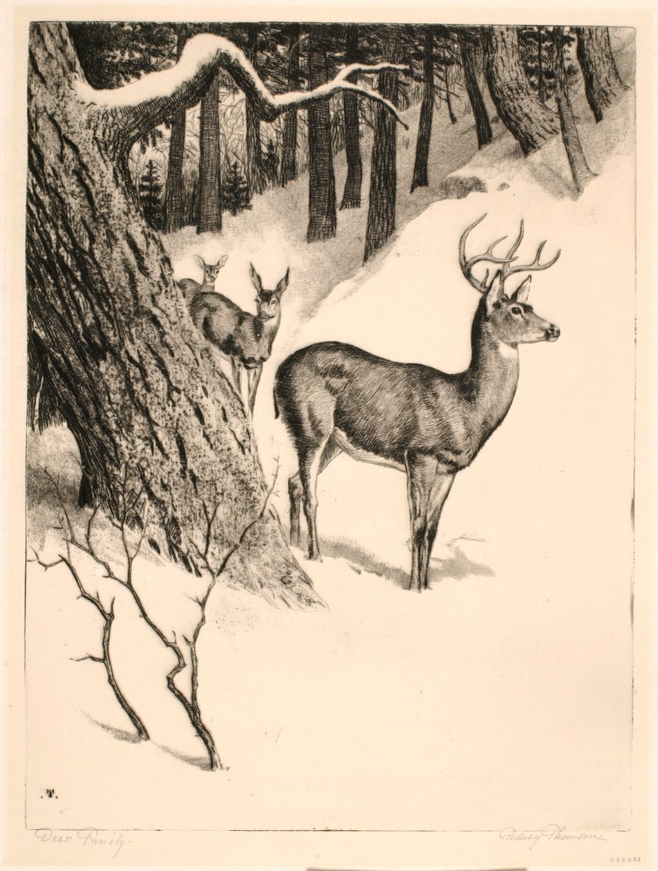 Hirschfamilie von Rodney Thomson