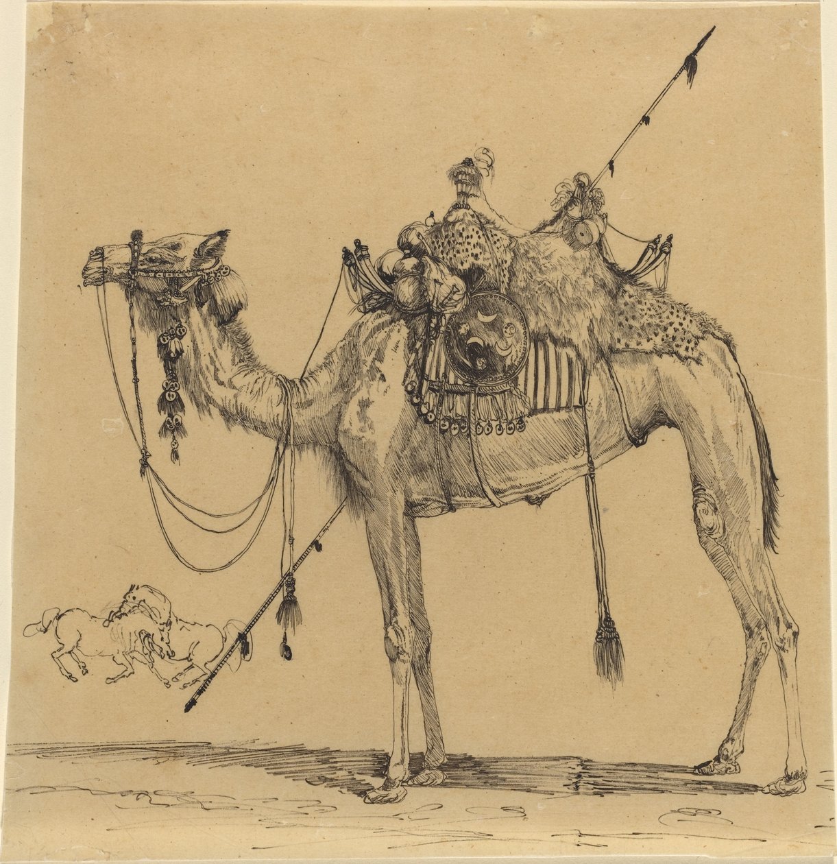 Das Kamel von Rodolphe Bresdin
